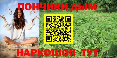 spice Кимры