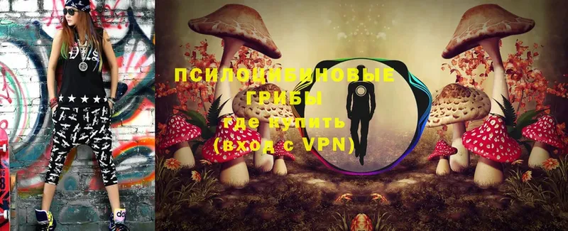 Псилоцибиновые грибы Cubensis  Ковров 