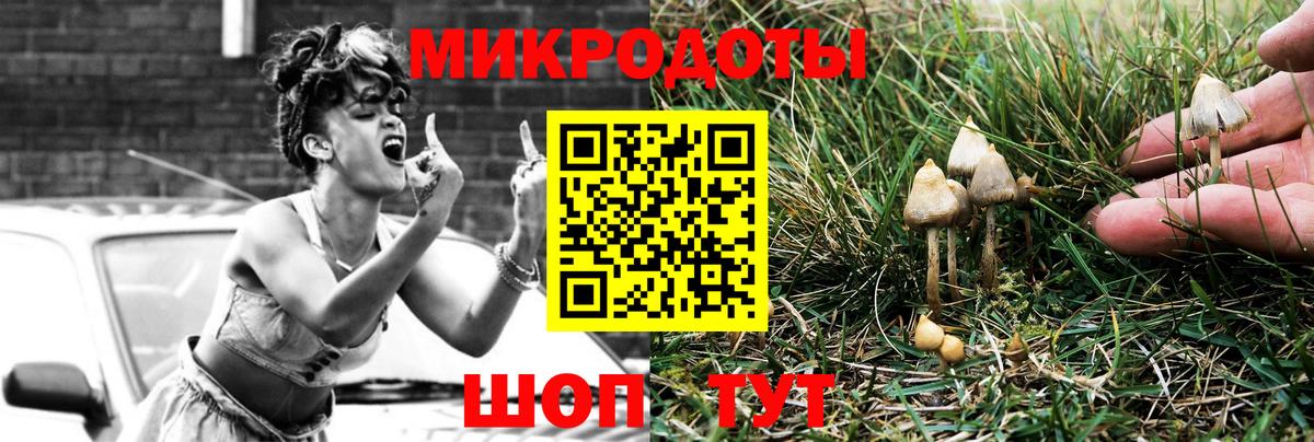 Галлюциногенные грибы Psilocybine cubensis  Ковров  хочу наркоту  Галлюциногенные грибы Psilocybine cubensis 