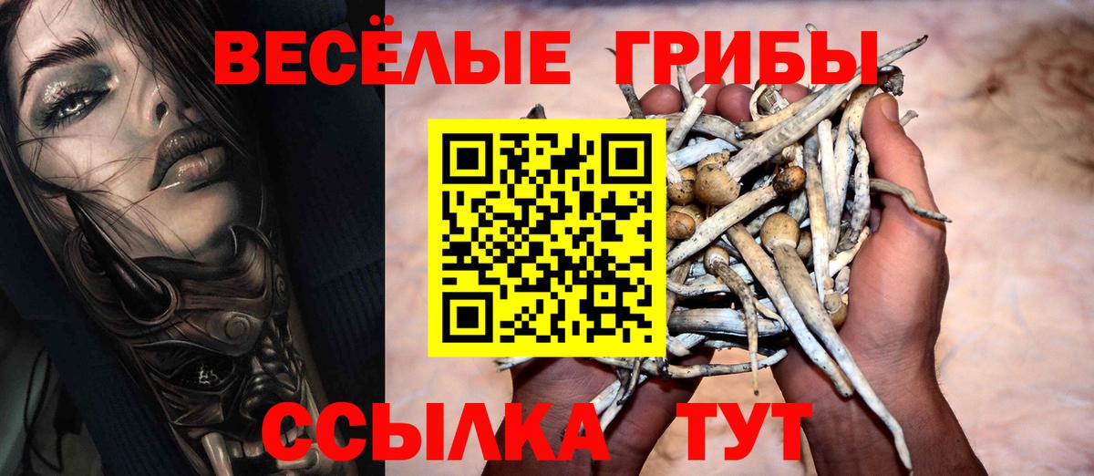 Ковров  Псилоцибиновые грибы Psilocybine cubensis  Галлюциногенные грибы прущие грибы  Вход с VPN 
