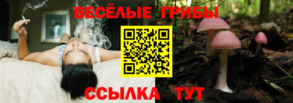 Галлюциногенные грибы MAGIC MUSHROOMS Ковров